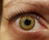 Cheerful Woody Brown 2tk